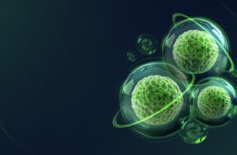 Screenshot 2025 07 10 at 1.03.44 PM